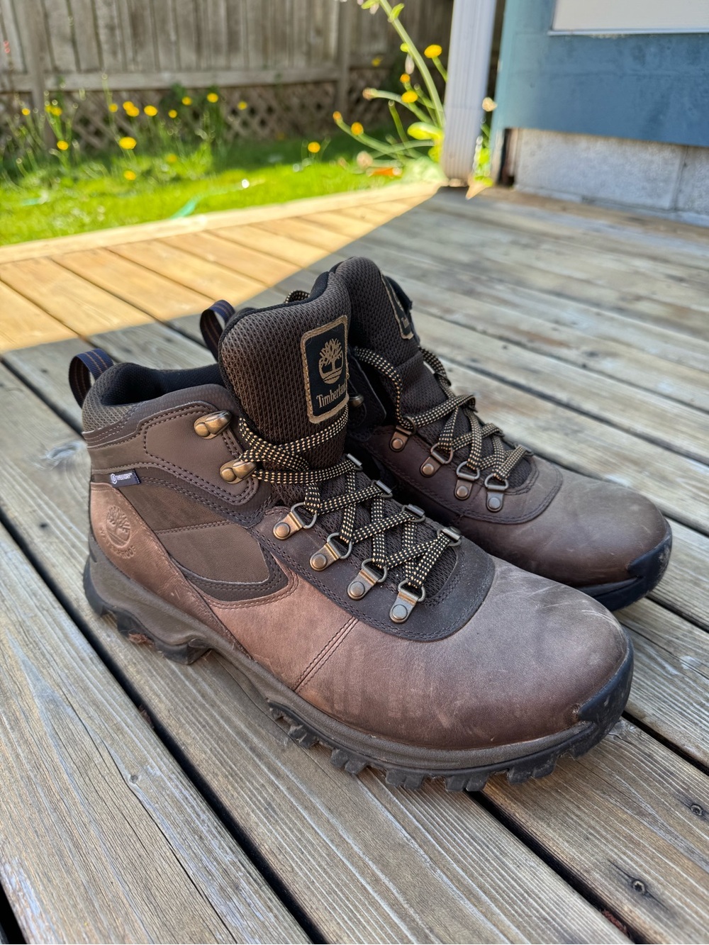 Timberland Men's Dark Brown and Black Leather Hiking Boots